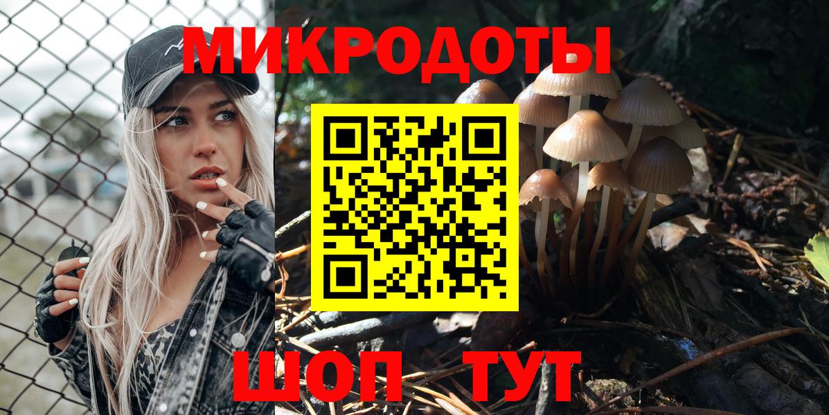 Псилоцибиновые грибы Psilocybe  Галлюциногенные грибы Psilocybine cubensis  купить наркотики сайты  Вход с VPN  Кингисепп 
